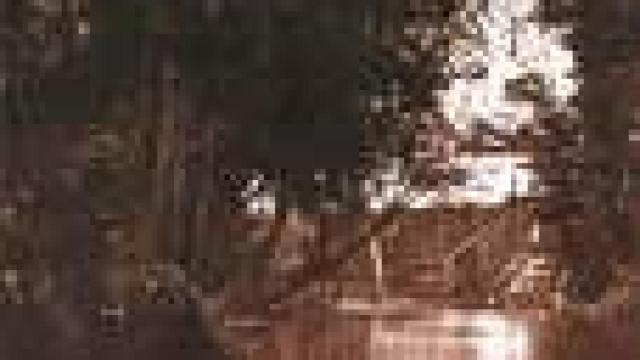 Image: El ruido y la furia