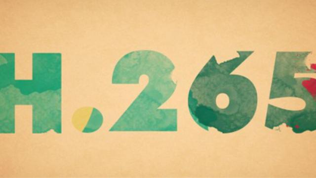 H265_01