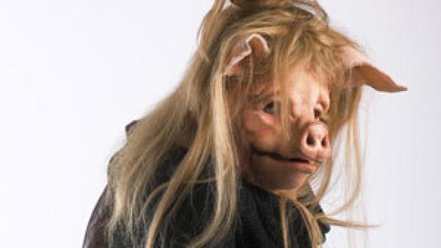 Image: La metamorfosis del siglo XXI