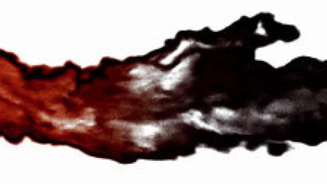 Image: Michal Rovner: ira de Yahvé