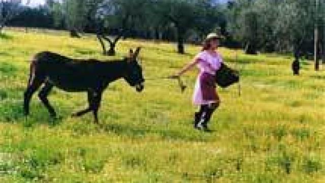 Image: Pilar Albarracín, vis cómica