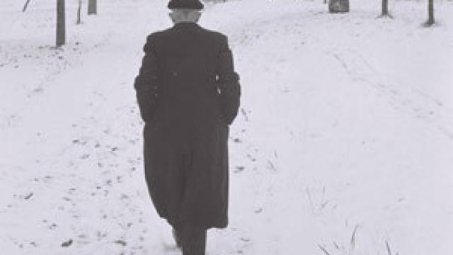 Image: Robert Walser: Historias