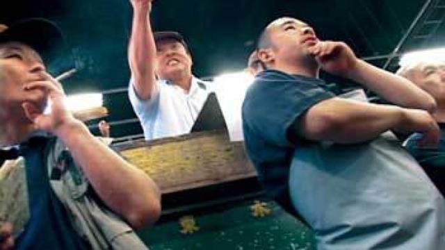 Image: Cuando la noticia se hace poesía