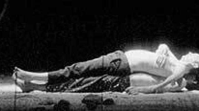 Image: Y Dios creó al hombre...