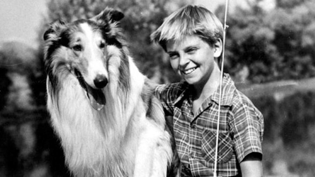 Lassie
