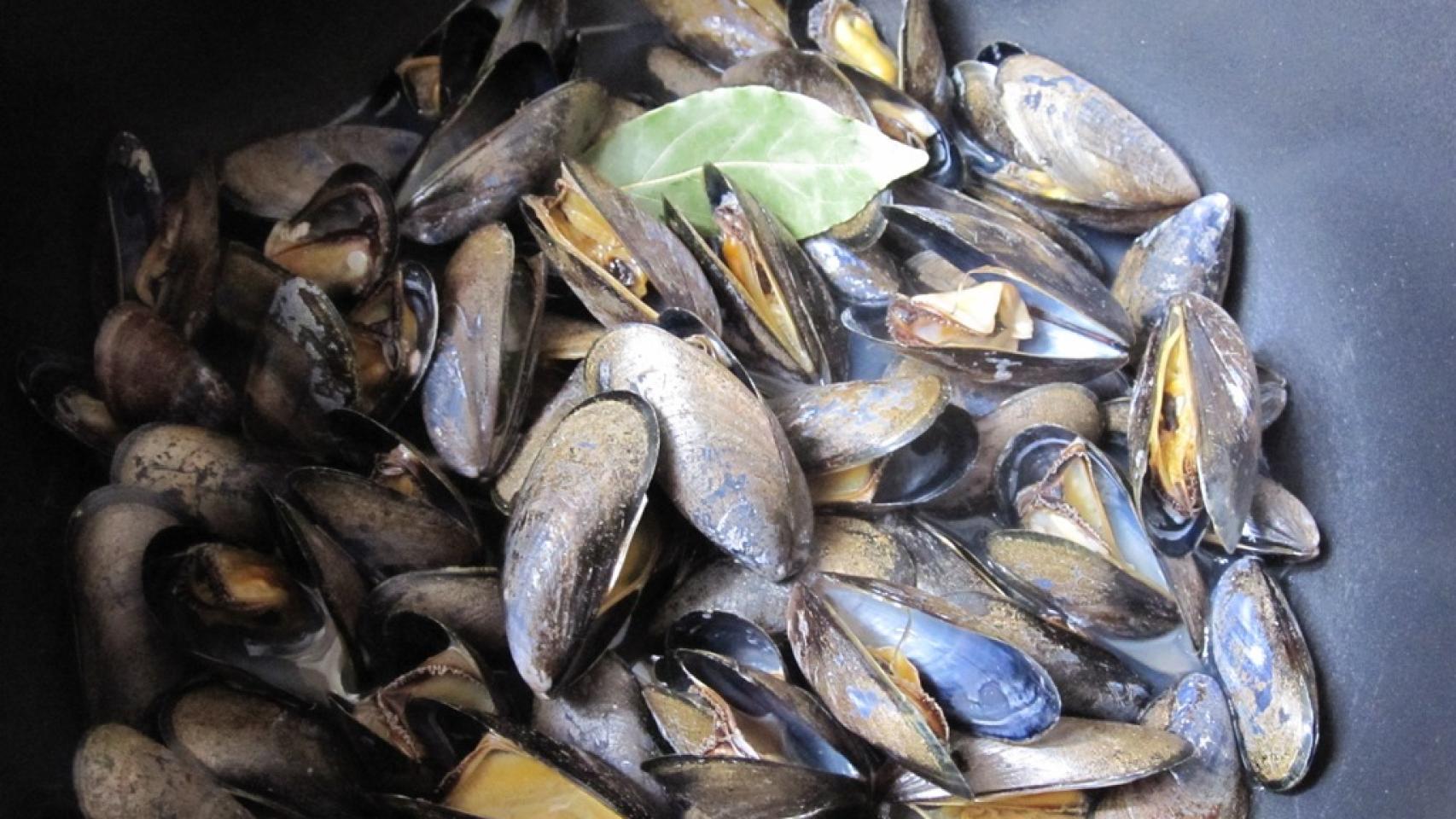 MEJILLONES REBOZADOS 1