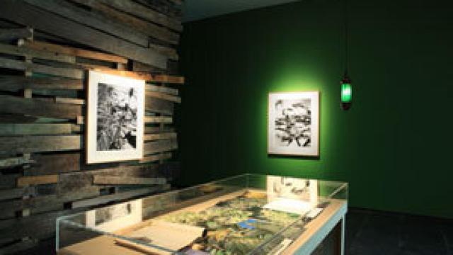 Image: La realidad paralela de Joachim Koester