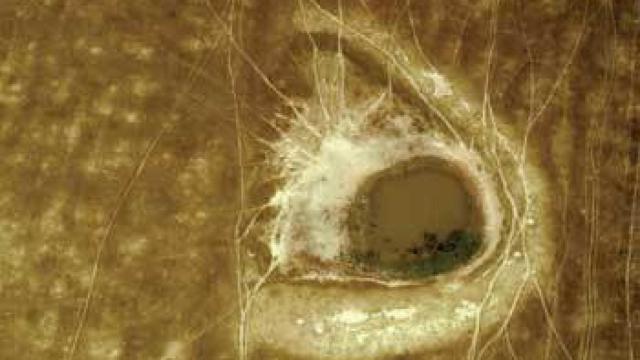 Image: Caio Reisewitz, naturaleza en conserva