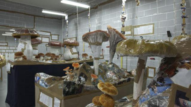 Image: Thomas Hirschhorn