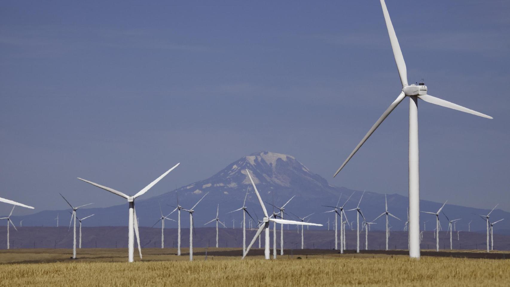 Parque-eólico-de-IBERDROLA-RENOVABLES-en-USA
