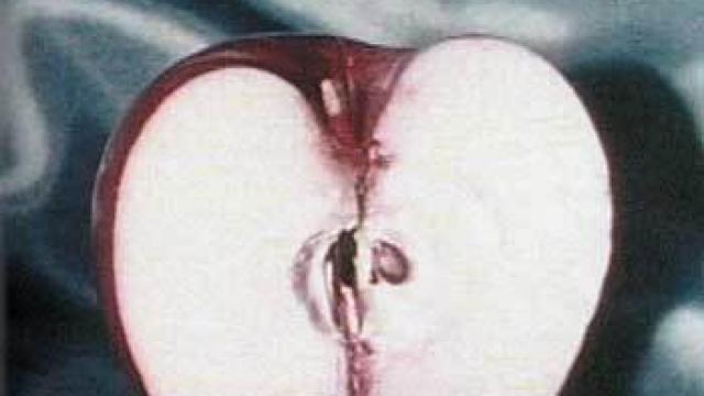 Image: Robert Whitman Imágenes líquidas