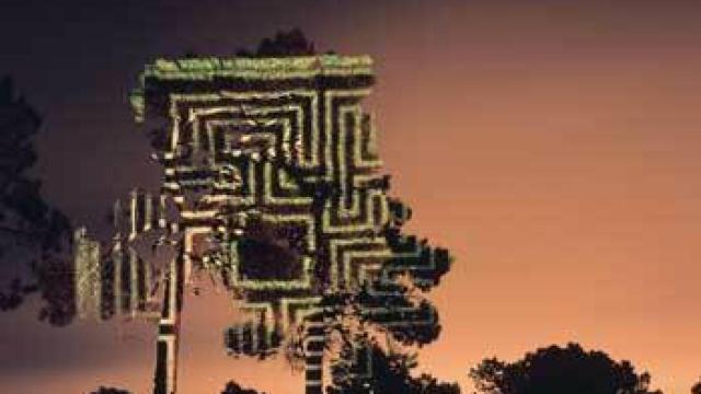 Image: Javier Riera, más allá del paisaje