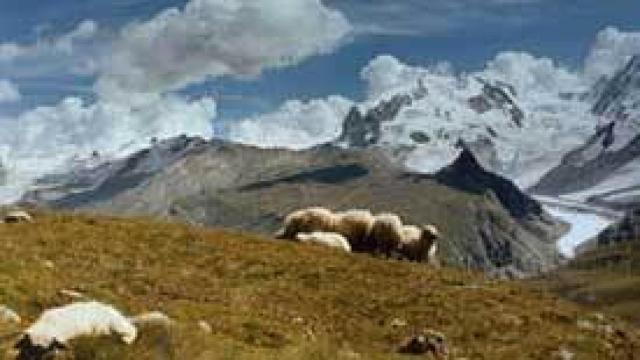 Image: Wolfgang Tillmans