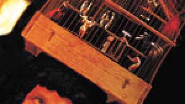 Image: Las danzas de la tribu