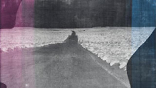 Image: R. H. Quaytman, profeta en su tierra