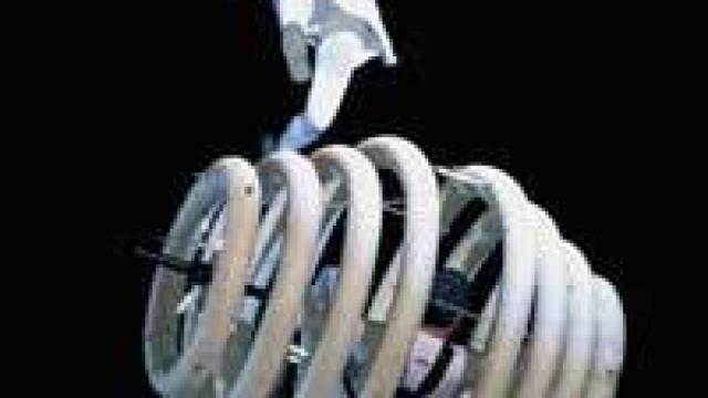 Image: Fanáticos del verano