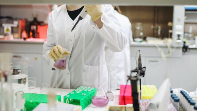Imagen | Detectada en Sudáfrica una nueva variante de coronavirus que inquieta a los expertos