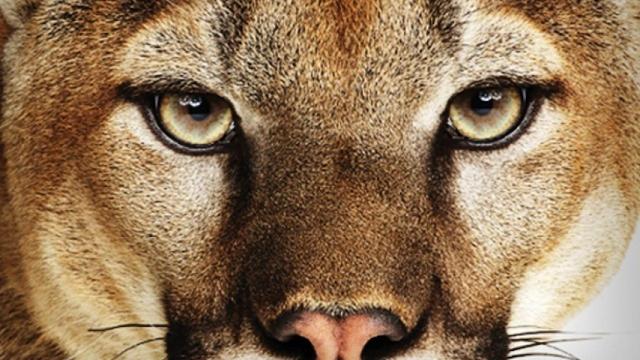 mountain-lion-os-x