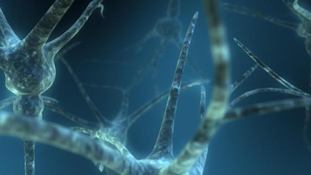 Dual-Neuron1