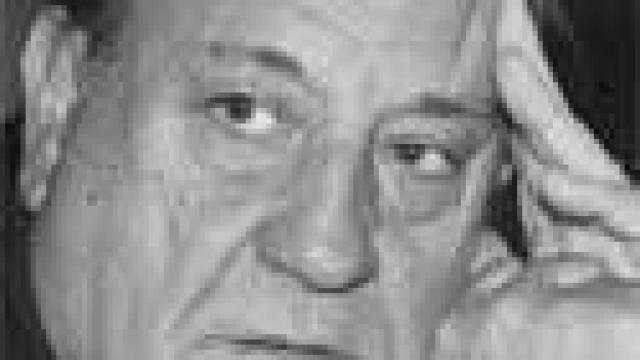 Image: La patria de las hormigas