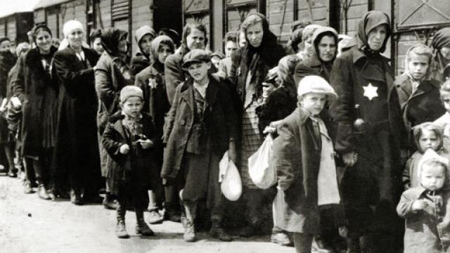 Image: Sin flores ni coronas