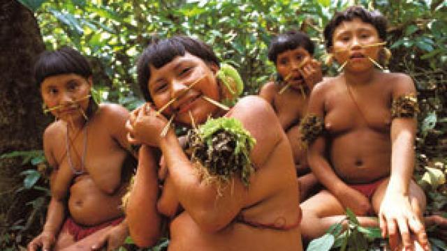 Image: Una inmersión en el mundo perdido