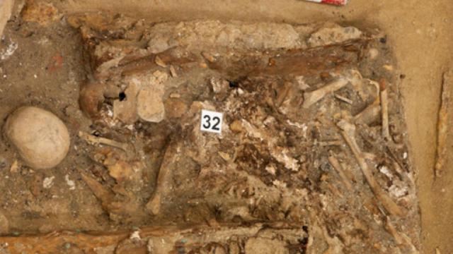 Image: ¿Son los restos de Cervantes? Es posible