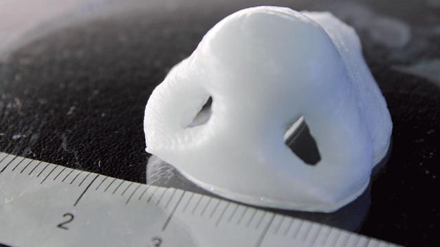 nariz impresion 3d port