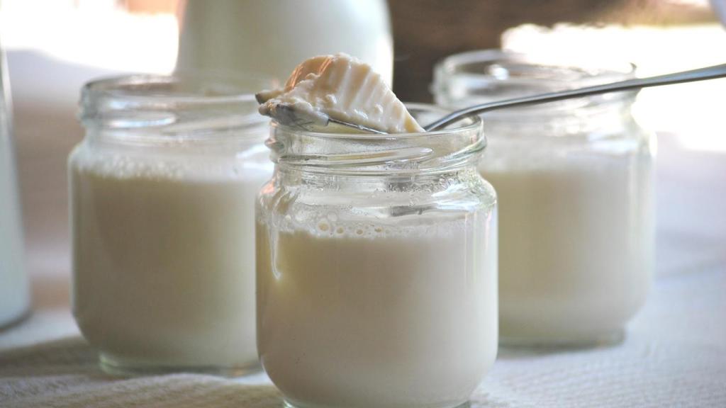 Yogures, kefir y otros alimentos fermentados ayudan a la digestión.