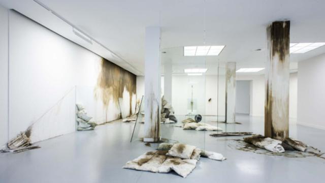 Image: Ricardo Brey, el alquimista