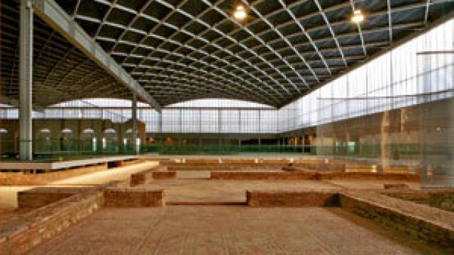 Image: Cubierta protectora para La Olmeda