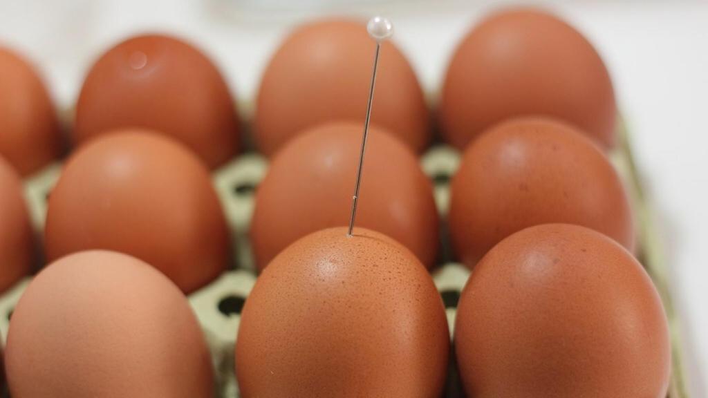 Pinchar la base del huevo con un alfiler