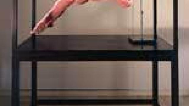 Image: Louise Bourgeois