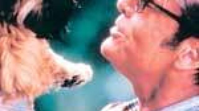 Image: Mejor imposible