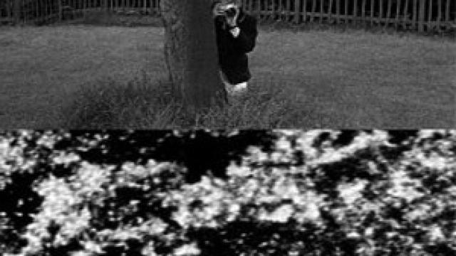 Image: Casa sin fin, entre el arte y la teoría