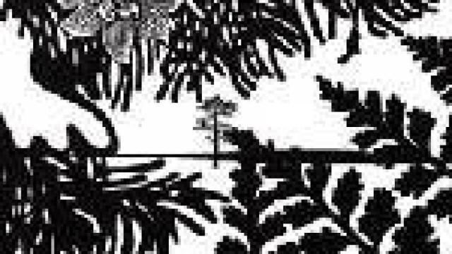 Image: Paul Morrison