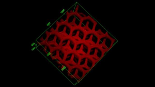 higado_3d