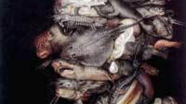 Image: Historia de la fealdad