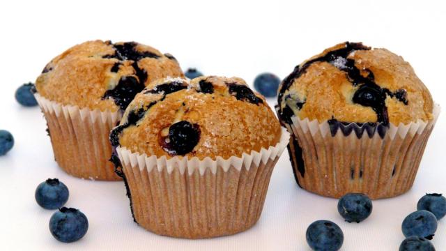 BlueberryMuffins