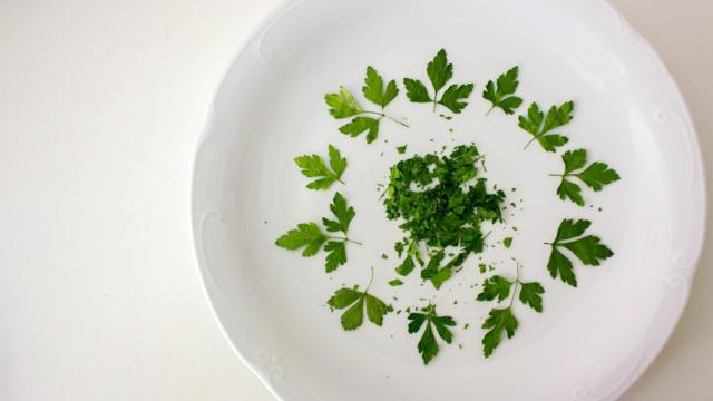 deshidratar-hierbas-00