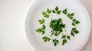 deshidratar-hierbas-00