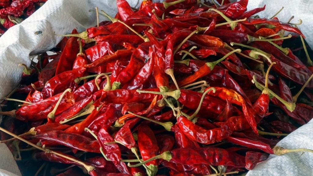 chiles-00