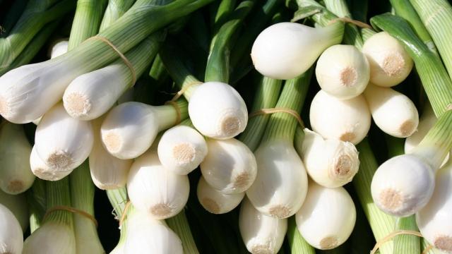 Cebolletas presentadas para su venta y consumo