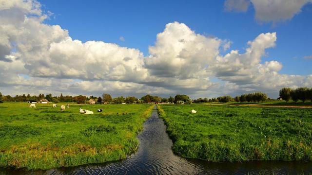Línea de producción de Seat
