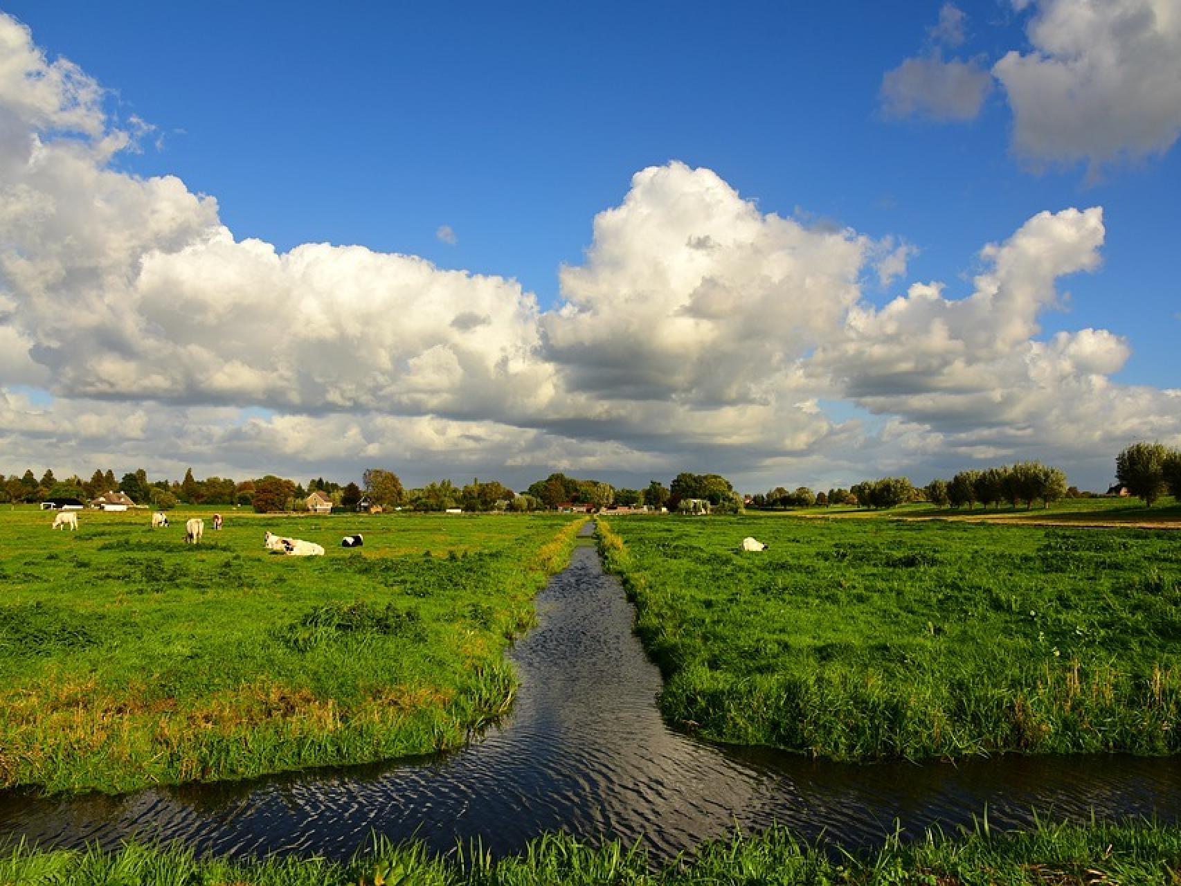 Planta de producción de Seat en Martorell.