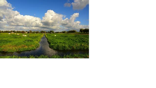 Línea de producción de Seat en Martorell