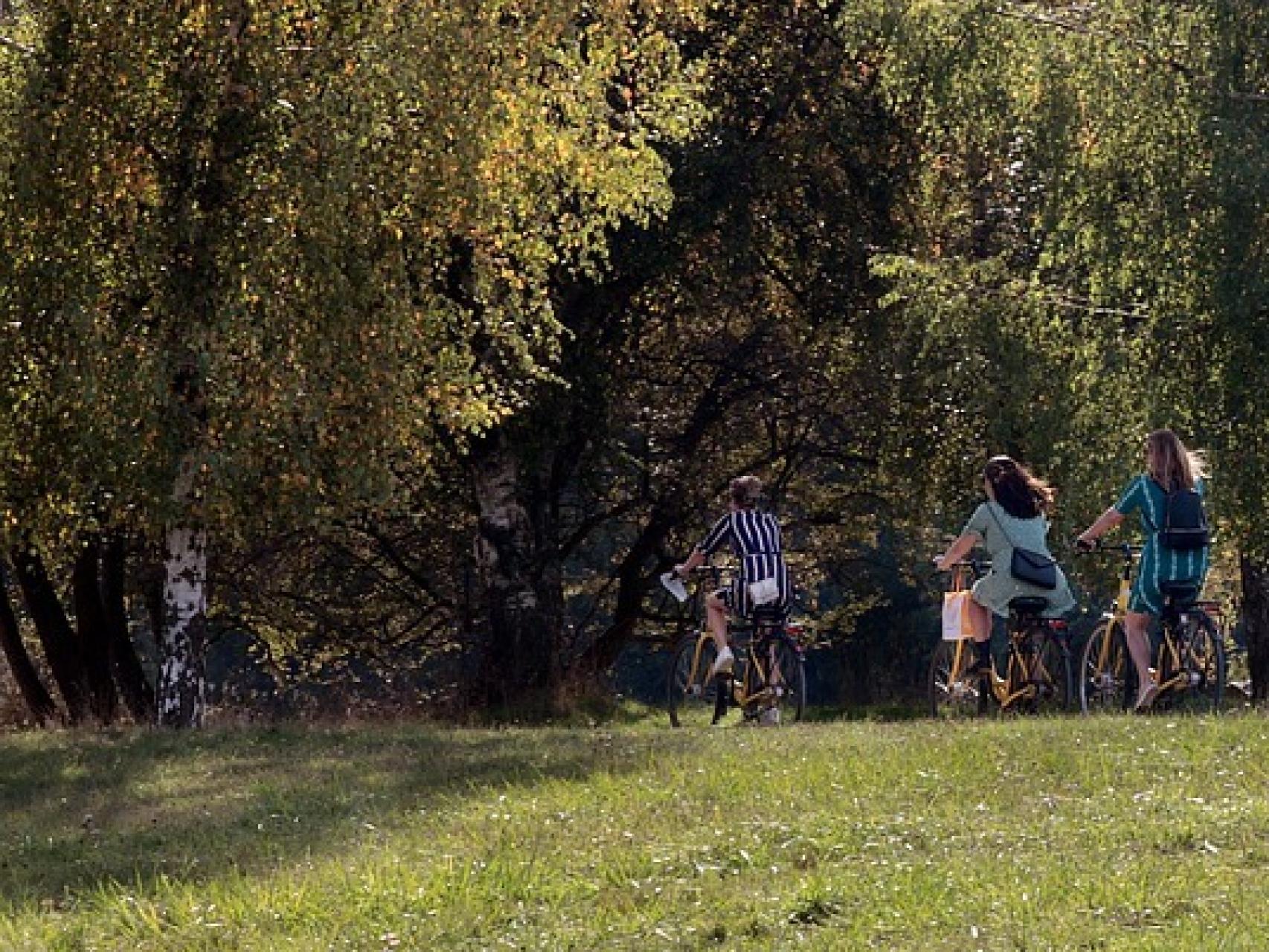 sunrise, sun, clouds