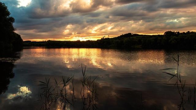 Doña Sofía será la invitada de honor de la cena que celebra la British-Spanish society.