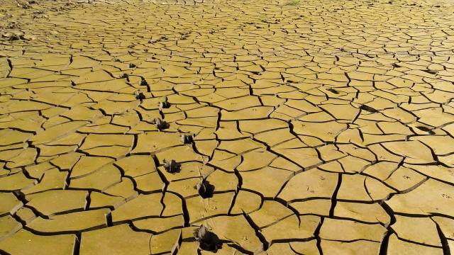 Suelo cuarteado en un pantano.