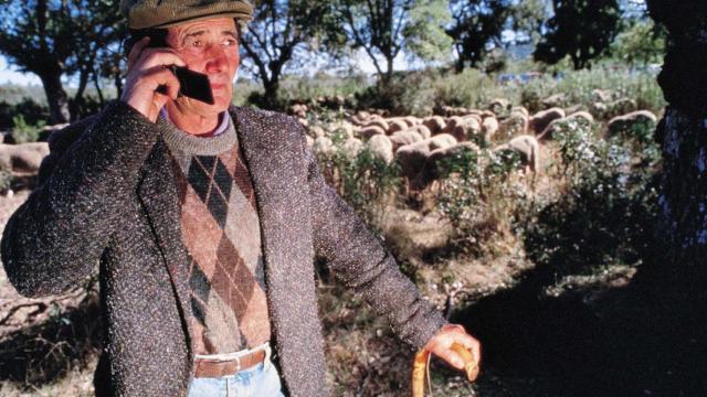 Yoigo y Másmóvil, ¿quién es la presa y quién el cazador?